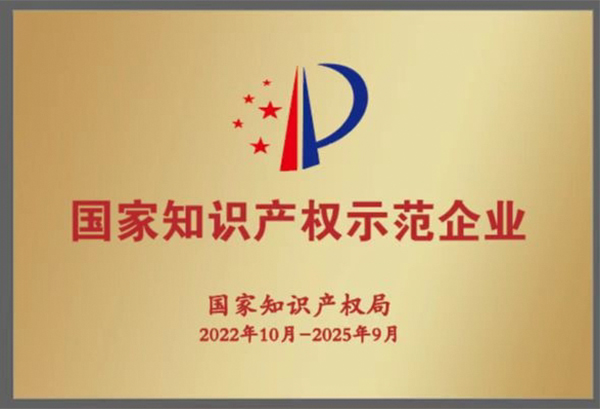 祝賀！集團獲評2022年度國家知識產(chǎn)權示范企業(yè)